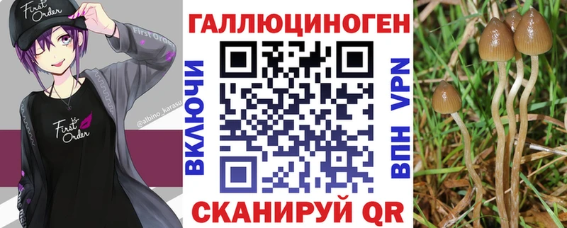 OMG ТОР  цена   Новоульяновск  Псилоцибиновые грибы мухоморы 