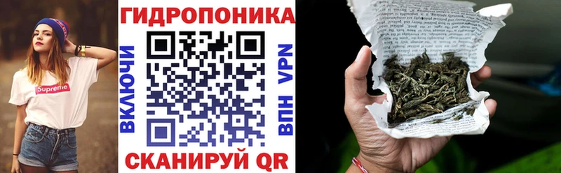 Конопля ГИДРОПОН  где найти наркотики  Новоульяновск 
